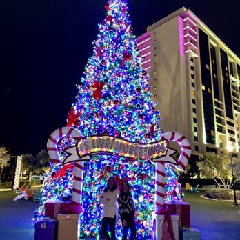 Shady Grove Lounge - The beautiful Silverton Christmas Tree - Lounges Near Me - Las Vegas, Nevada