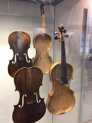 Geigenbaumuseum by null