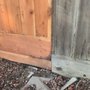 Photo of Mike Hallett Fencing