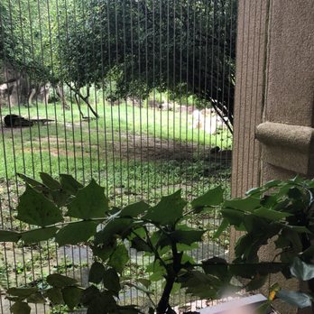 Memphis Zoo - Zoos Near Me - Memphis, Tennessee Memphis Zoo - Zoos Near Me - Memphis, Tennessee