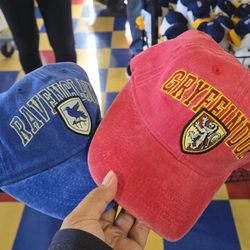 Brooklyn Cyclones - Gryffindor and Ravenclaw