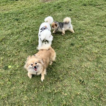 Garvey Paws - Dog Parks Near Me - Rosemead, California