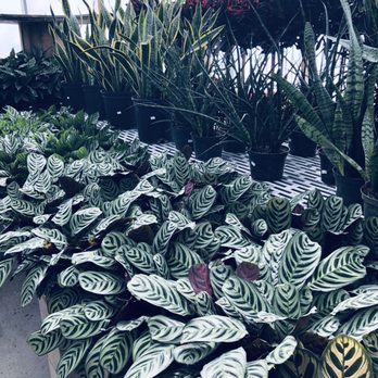Good Earth - Farmers Market Near Me - Augusta, Georgia