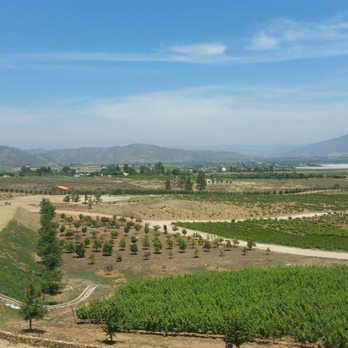 Las Nubes Bodegas y Viñedos - View was perfect - Wine Tours Near Me - Valle de Guadalupe, BCN