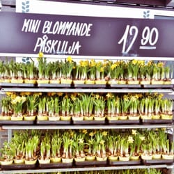 Plantagen Barkarby - vårfeeling mars 2013