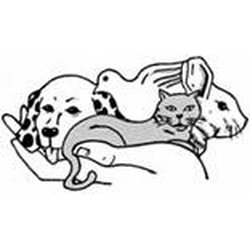 South Salem Animal Hospital - South Salem Animal Hospital