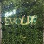 Photo of Evolve Aesthetics