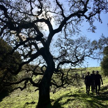 Fernandez Ranch - solstice shadows - Hiking Near Me - Martinez, California