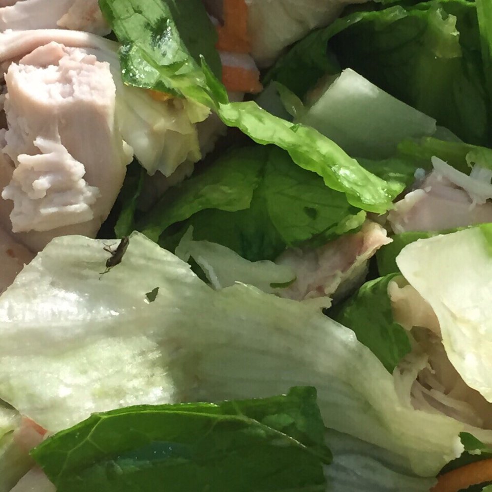 Calif Chicken Cafe - Bug in the salad - American Near Me - Northridge, California Calif Chicken Cafe - Bug in the salad - American Near Me - Northridge, California