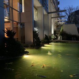 2941 RESTAURANT - Updated March 2026 - 3002 Photos & 1082 Reviews ...