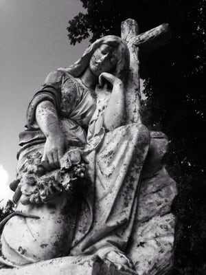 Thornrose Cemetery by null