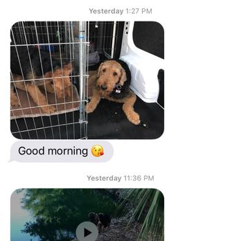 Fit & Go Pets - Nothing better than getting daily news of our pets thanx to Fit and Go! - Dog Walkers Near Me - Miami, Florida Fit & Go Pets - Nothing better than getting daily news of our pets thanx to Fit and Go! - Dog Walkers Near Me - Miami, Florida