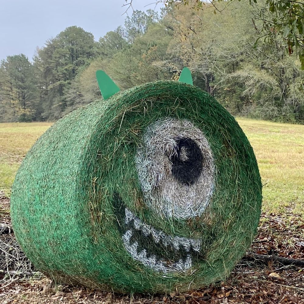 Griffin Farms - Pumpkin Patches Near Me - West Blocton, Alabama