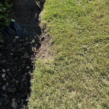 Big Earth Landscape Supply - Nurseries & Gardening Near Me - Bradenton, Florida Big Earth Landscape Supply - Nurseries & Gardening Near Me - Bradenton, Florida