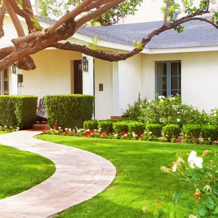 ZACH’S TREE SERVICE Updated July 2024 11 Photos Sperryville