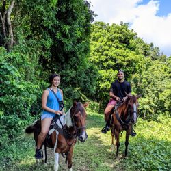 La Vista Rides - Rainforest River Ride Adventure
