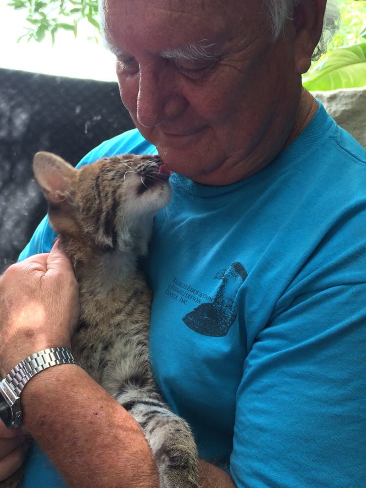 Wildlife Rehabilitation And Education Center Image