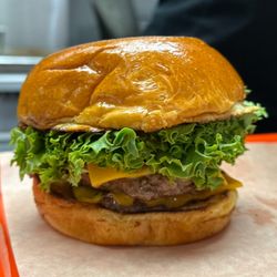 Mr Mushroom Burger Farm