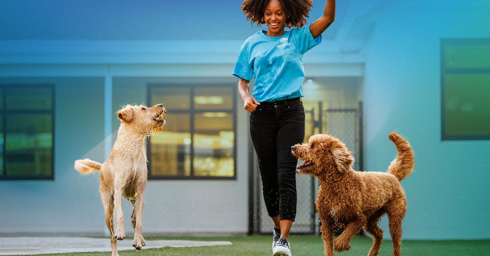 Pet Paradise St. Augustine Image