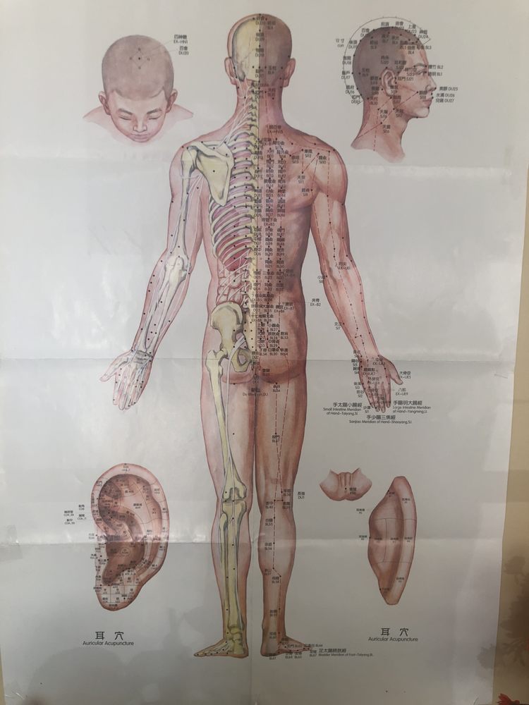 ROSE SPA 23 Photos 5 Pleasant St, Millis, Massachusetts Massage Therapy Phone Number Yelp