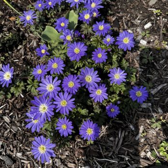 Deep Cut Gardens - Botanical Gardens Near Me - Middletown, New Jersey