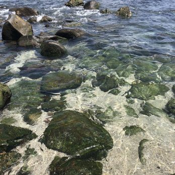 La Jolla Cove - Parks Near Me - La Jolla, California
