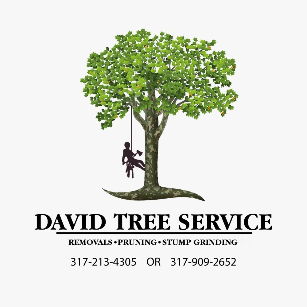 David Tree Service - tree service in Indianapolis, IN
