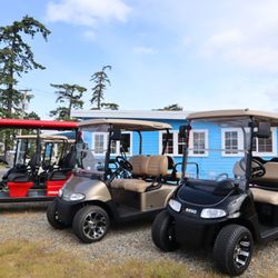 Birch Bay Carts and Rentals - A few carts ready to roll!