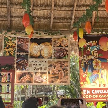 Zacil - Chocolate-tasting area. Feb, 2024. - Restaurants Near Me - Cozumel, ROO