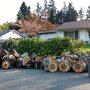 Photo of Norwest Tree Experts
