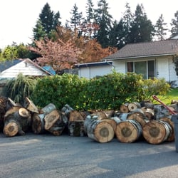 Norwest Tree Experts - Wood neatly stacked exactly where I wanted it, and my neighbors got a lot of free firewood! Norwest later took away the 8 biggest pieces.