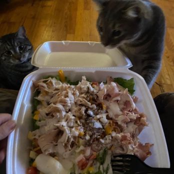 42Deli - Great chef salad - Delis Near Me - Clifton Forge, Virginia 42Deli - Great chef salad - Delis Near Me - Clifton Forge, Virginia