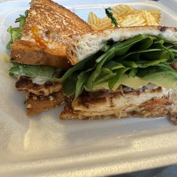 Main Street Deli - a grilled chicken sandwich on a styrofoam container - Delis Near Me - Rochester, Michigan Main Street Deli - a grilled chicken sandwich on a styrofoam container - Delis Near Me - Rochester, Michigan