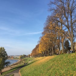 Benrather Rheinufer - Herbst :-)