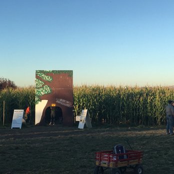 Carpinito Brothers Pumpkin Patch - Entrance to the small corn maze - Farmers Market Near Me - Kent, Washington