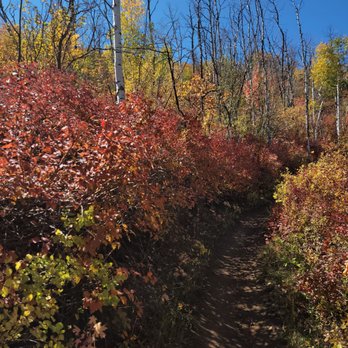 Armstrong Trail - Hike with amazing colors all around. - Hiking Near Me - Park City, Utah Armstrong Trail - Hike with amazing colors all around. - Hiking Near Me - Park City, Utah