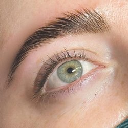 The Skin and Wax Spot - Brow Lamination and Tint