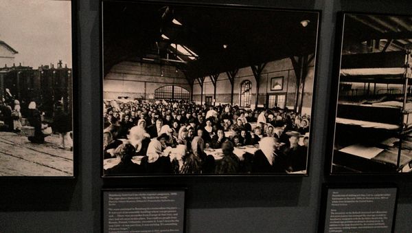 Ellis Island by null