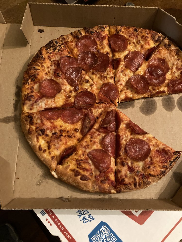 Domino's Pizza Logo