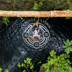 Cenote Elvira - Come discover your own natural wonderland.