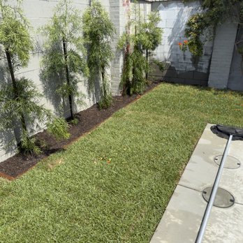 LJ’S Landscaping - Planter and Trees After - Landscaping Near Me