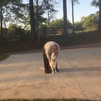 Fully Loaded Canines - Pet Training Near Me - Knoxville, Tennessee