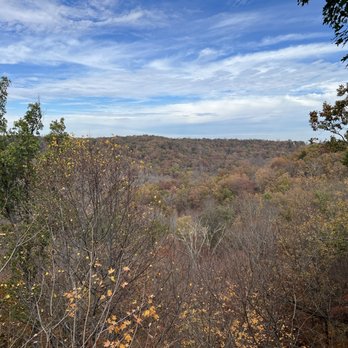Bernheim Forest and Arboretum - Parks Near Me - Clermont, Kentucky