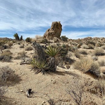 Anna Geddes Healing - Reiki Near Me - Santa Fe, New Mexico Anna Geddes Healing - Reiki Near Me - Santa Fe, New Mexico