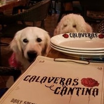 Calaveras Cantina - Mexican Near Me - Jupiter, Florida Calaveras Cantina - Mexican Near Me - Jupiter, Florida