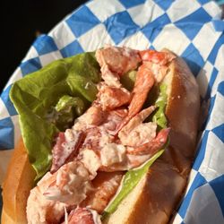 Southeast Light Delights - Cold mayo lobster roll