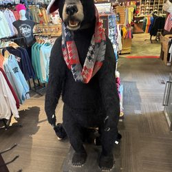 Mountain Bear Aparel - Berry The Shop's Mascot