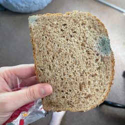 Hannaford Food and Drug