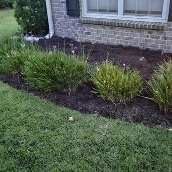 Pristine Turf & Irrigation - New edging of bed, back row of bushes removed - Lawn Services Near Me - Bluffton, South Carolina Pristine Turf & Irrigation - New edging of bed, back row of bushes removed - Lawn Services Near Me - Bluffton, South Carolina