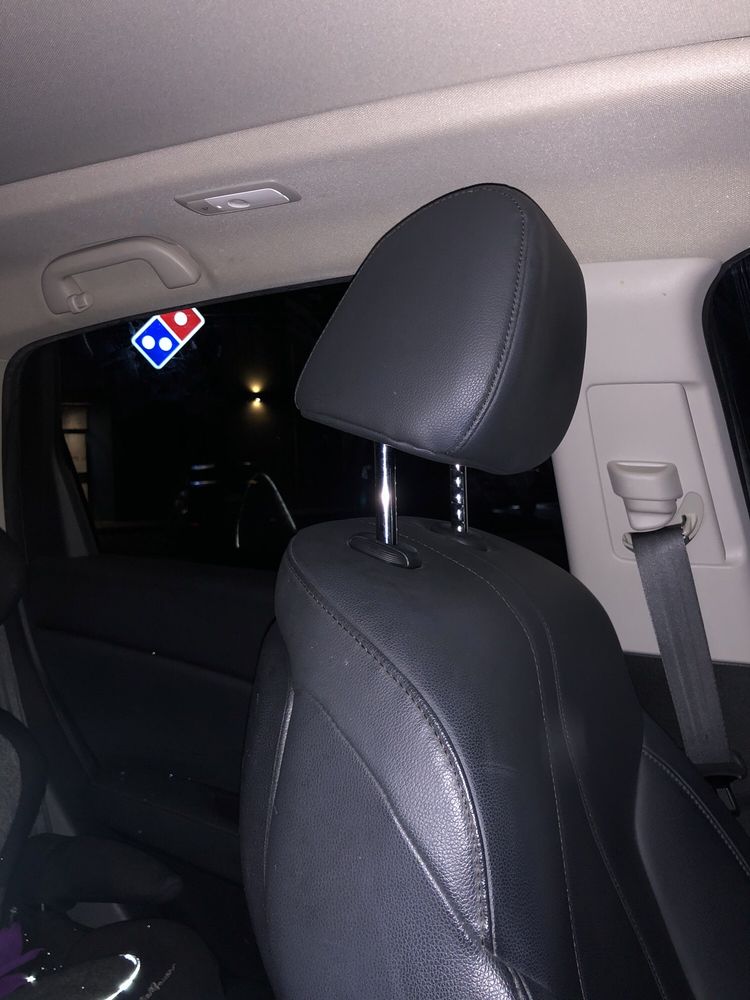 Domino's Pizza Logo